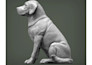create custom animal model with texture, render in blender and zbrush